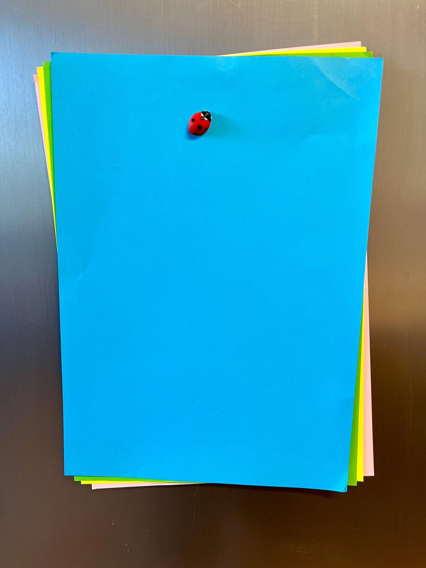 Ladybug Refrigerator Magnets