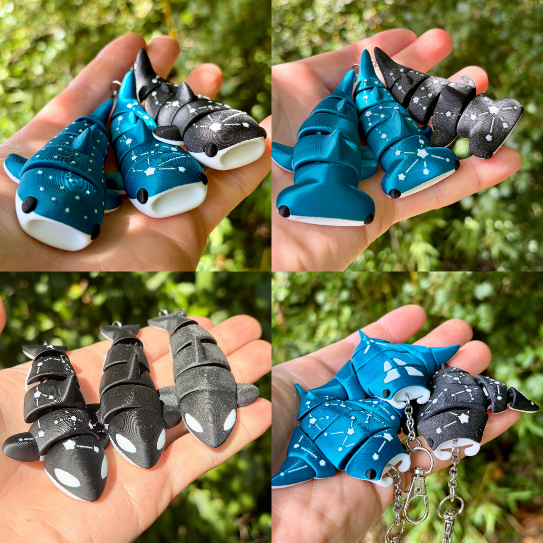 Pack Gliederfische