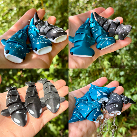 Pack Gliederfische