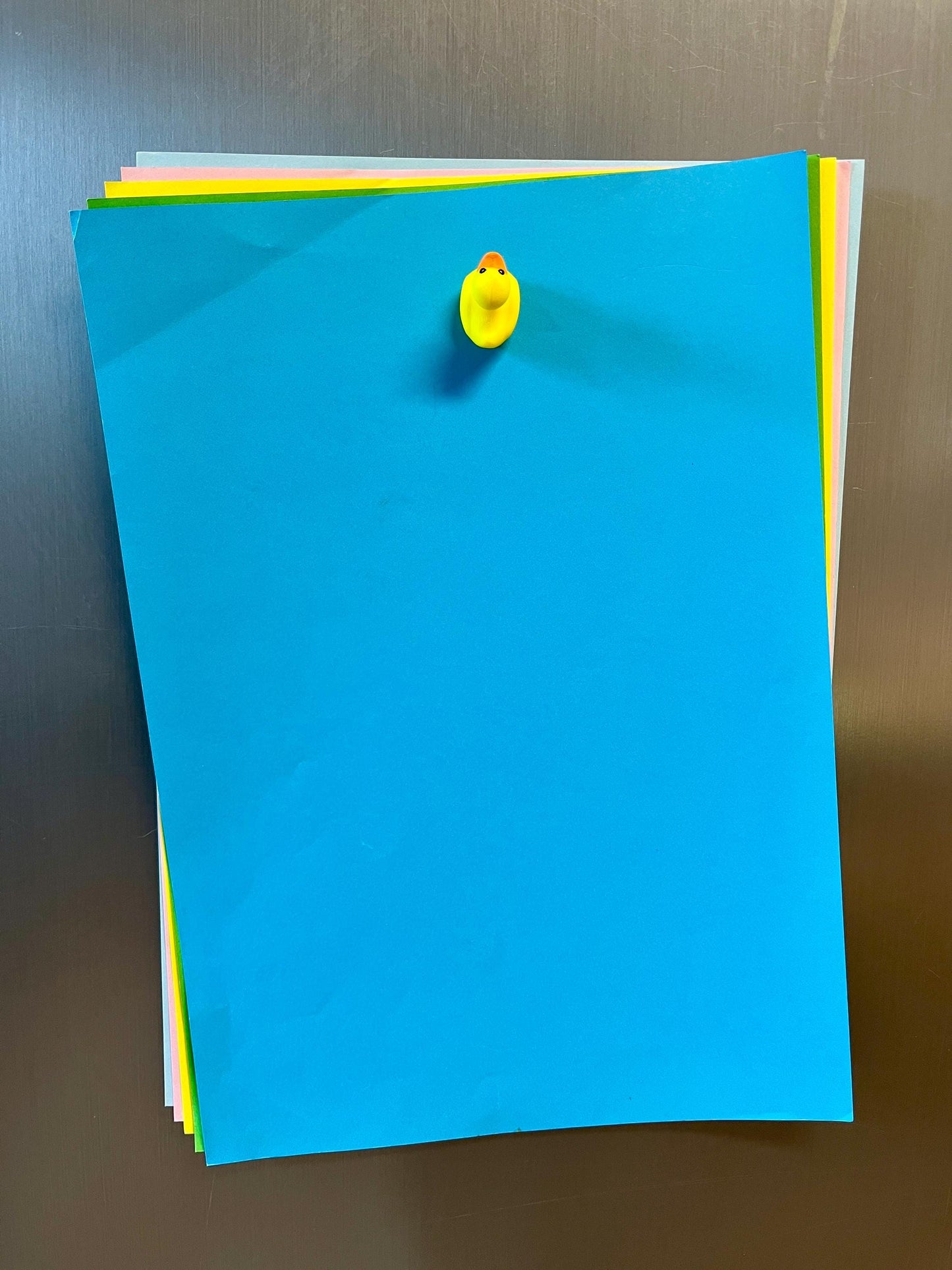 Duck refrigerator magnets