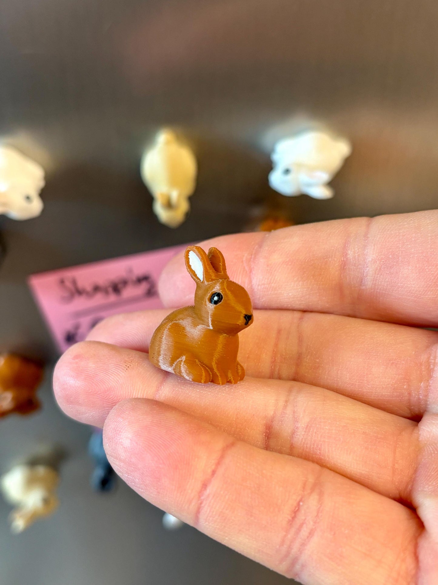 Rabbit refrigerator magnets
