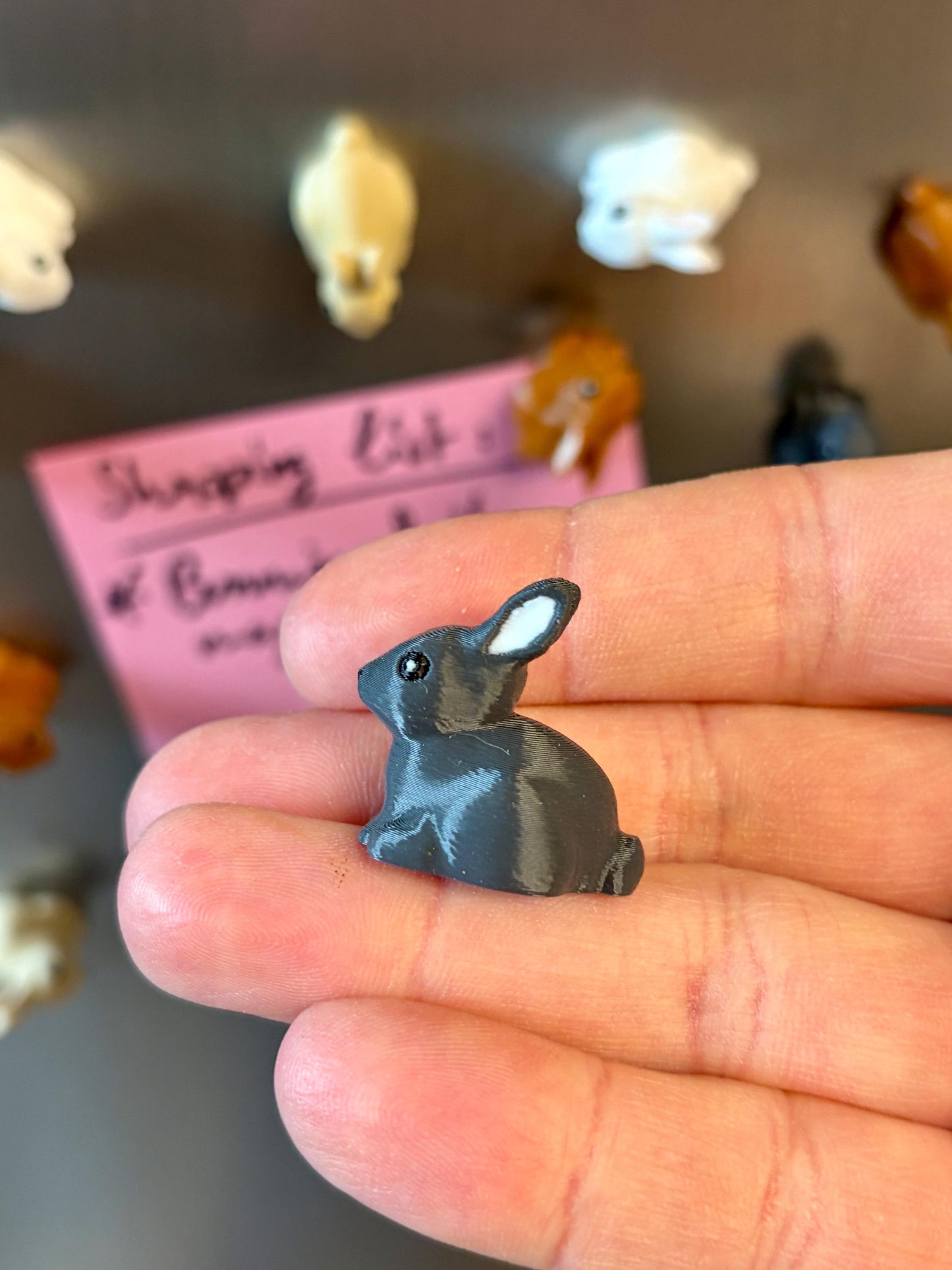 Rabbit refrigerator magnets