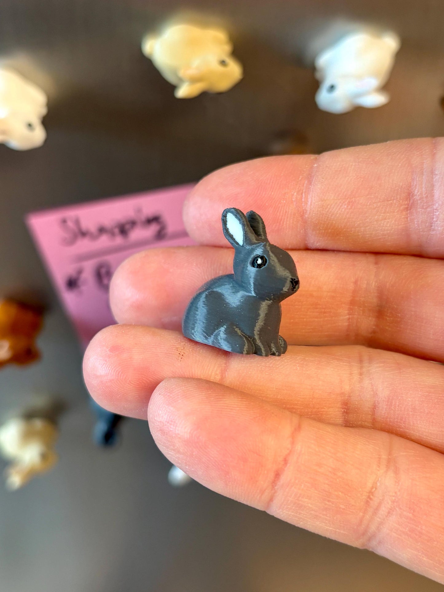 Rabbit refrigerator magnets