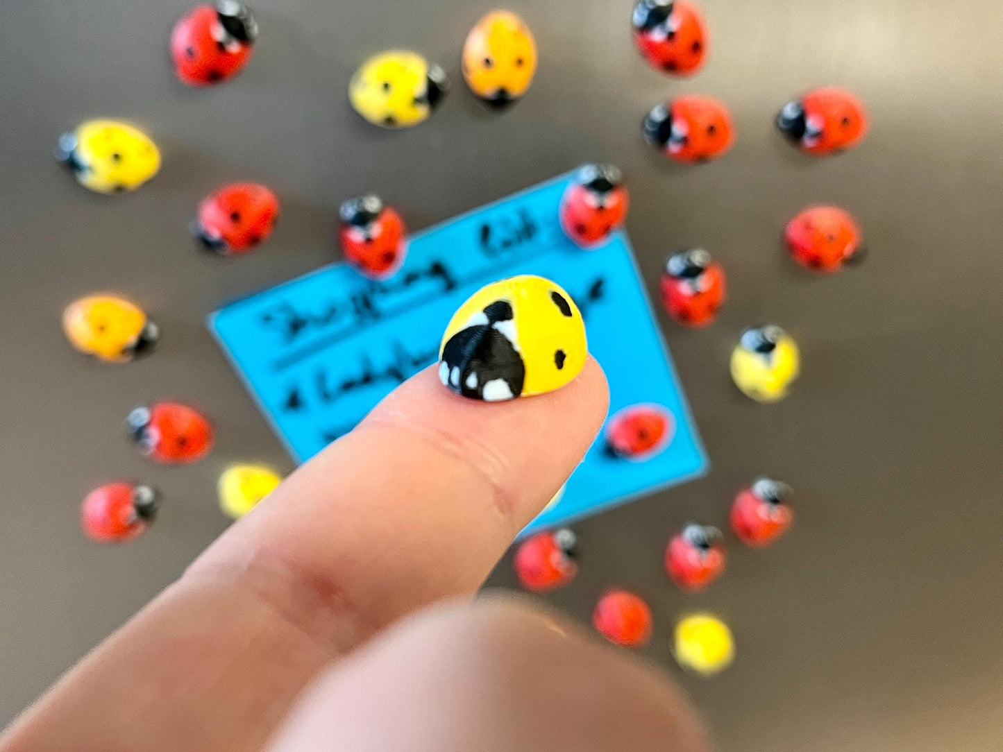 Ladybug Refrigerator Magnets