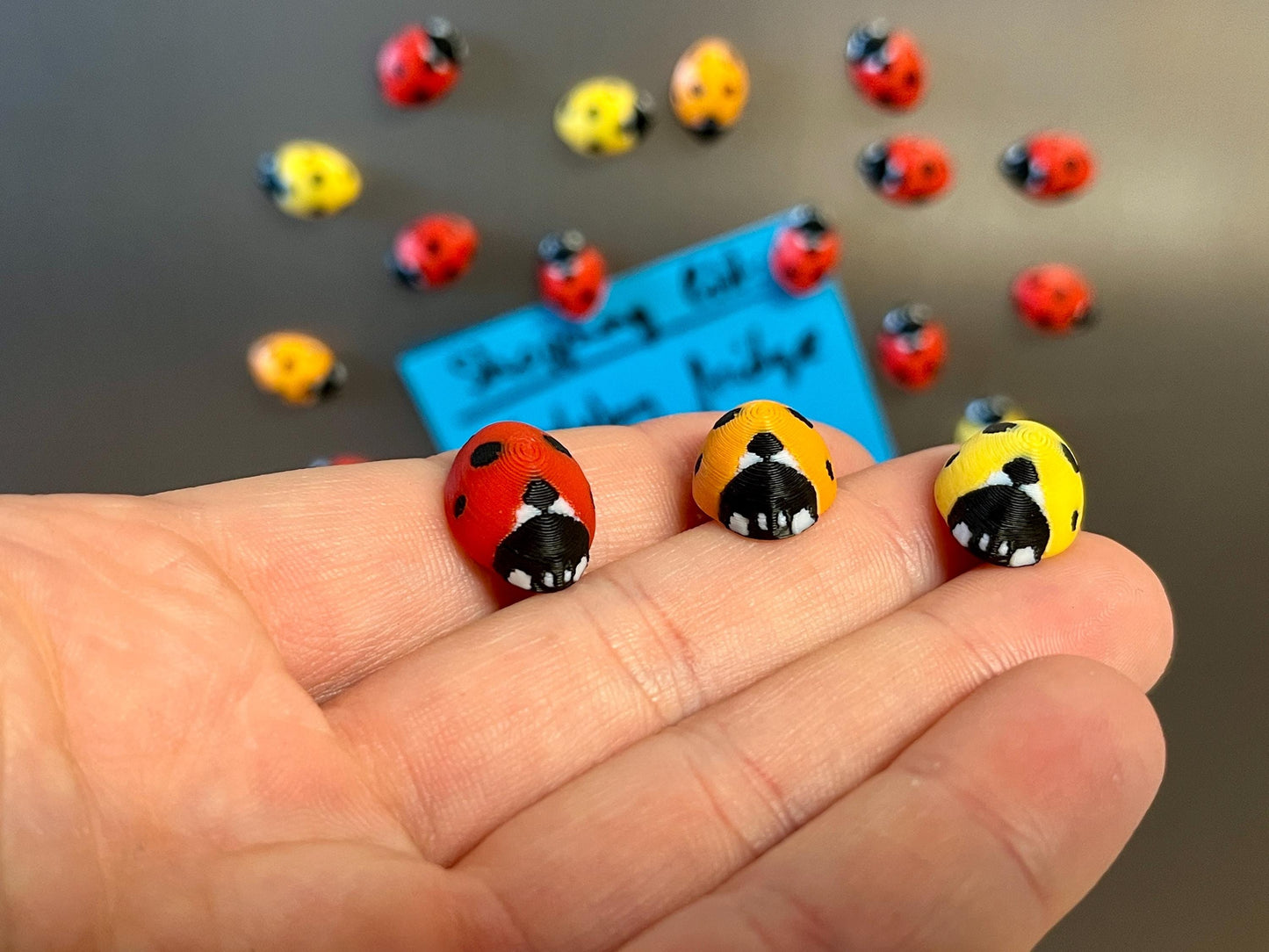 Ladybug Refrigerator Magnets