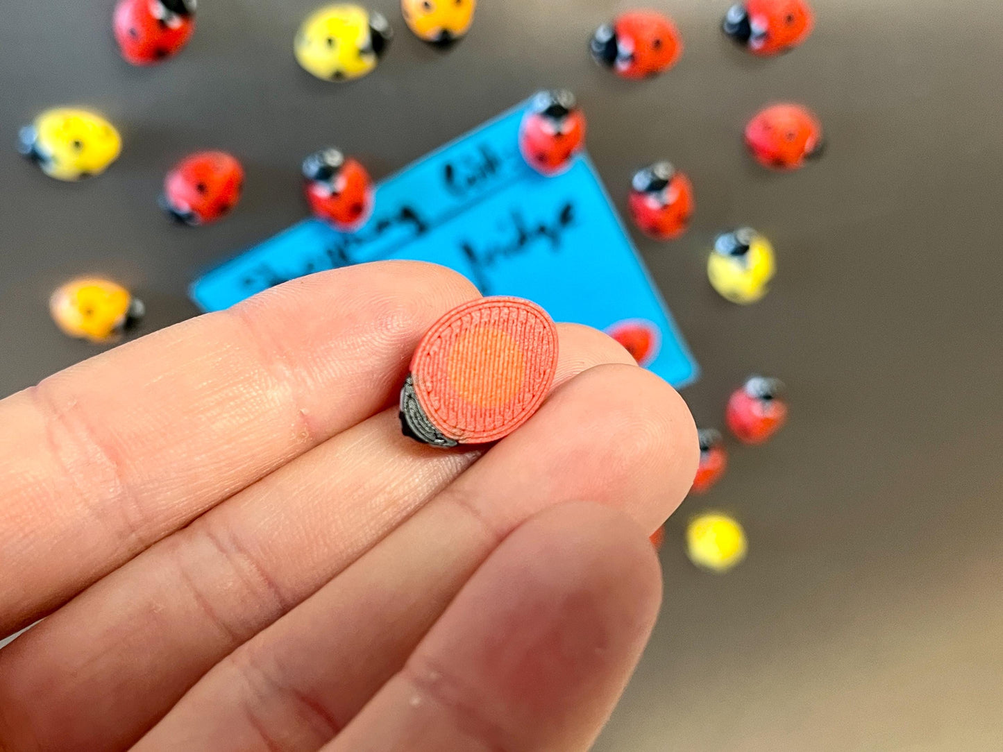 Ladybug Refrigerator Magnets