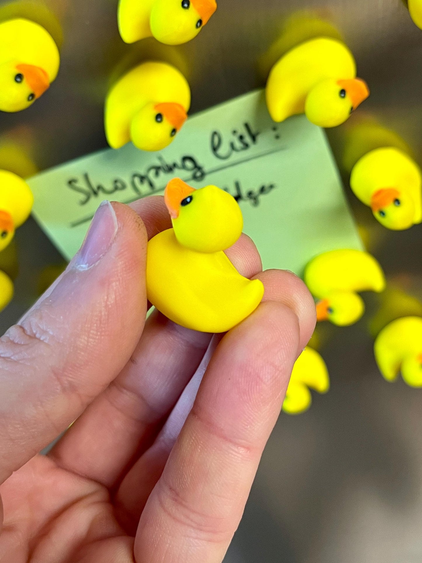 Duck refrigerator magnets