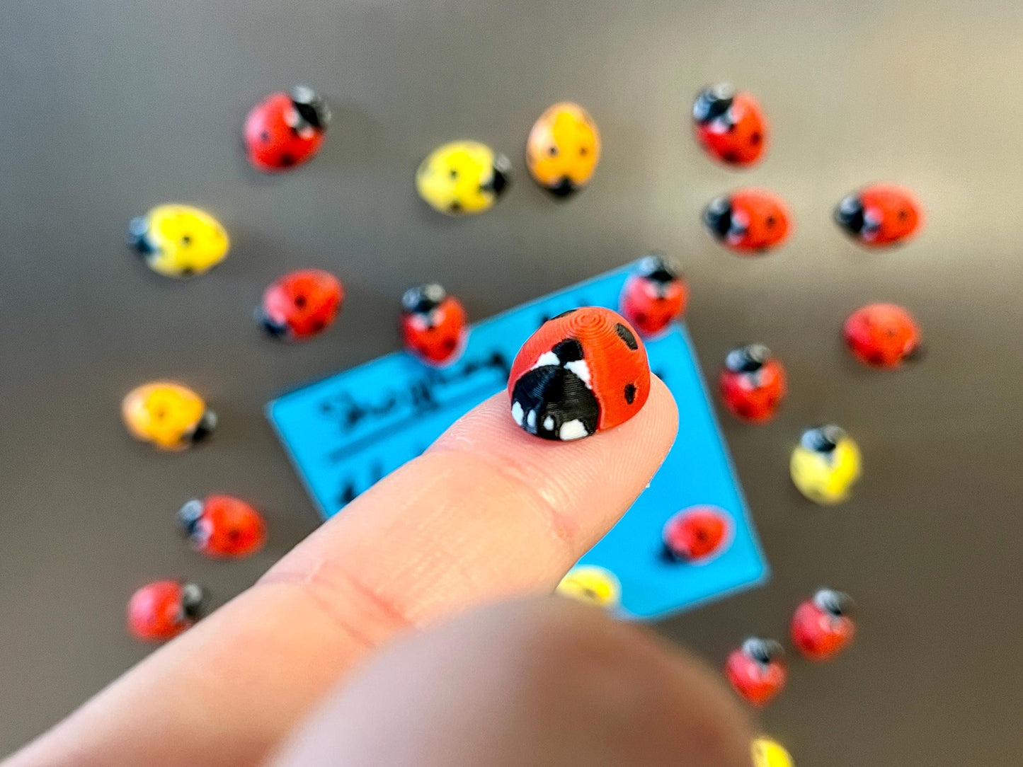Ladybug Refrigerator Magnets