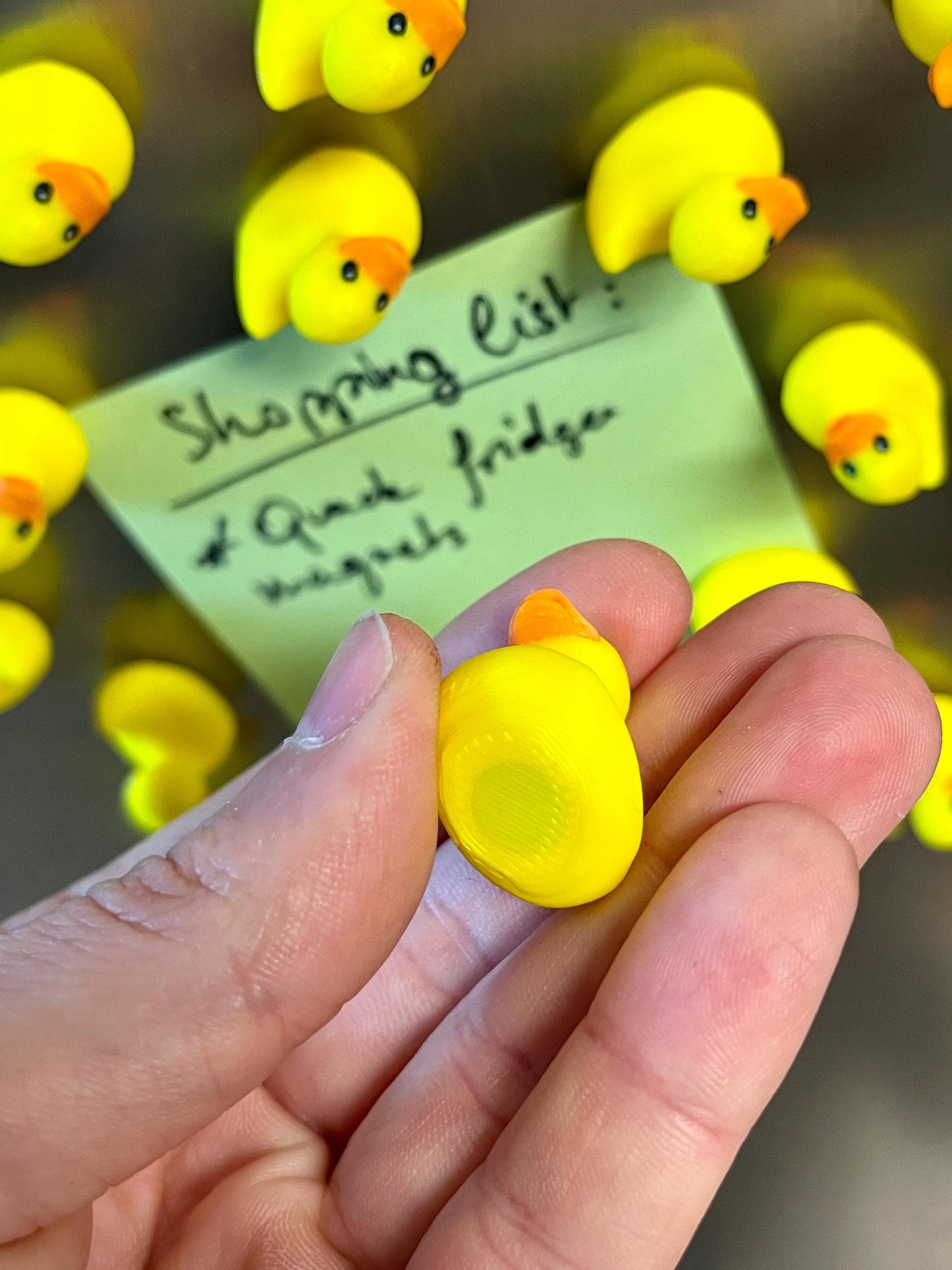 Duck refrigerator magnets