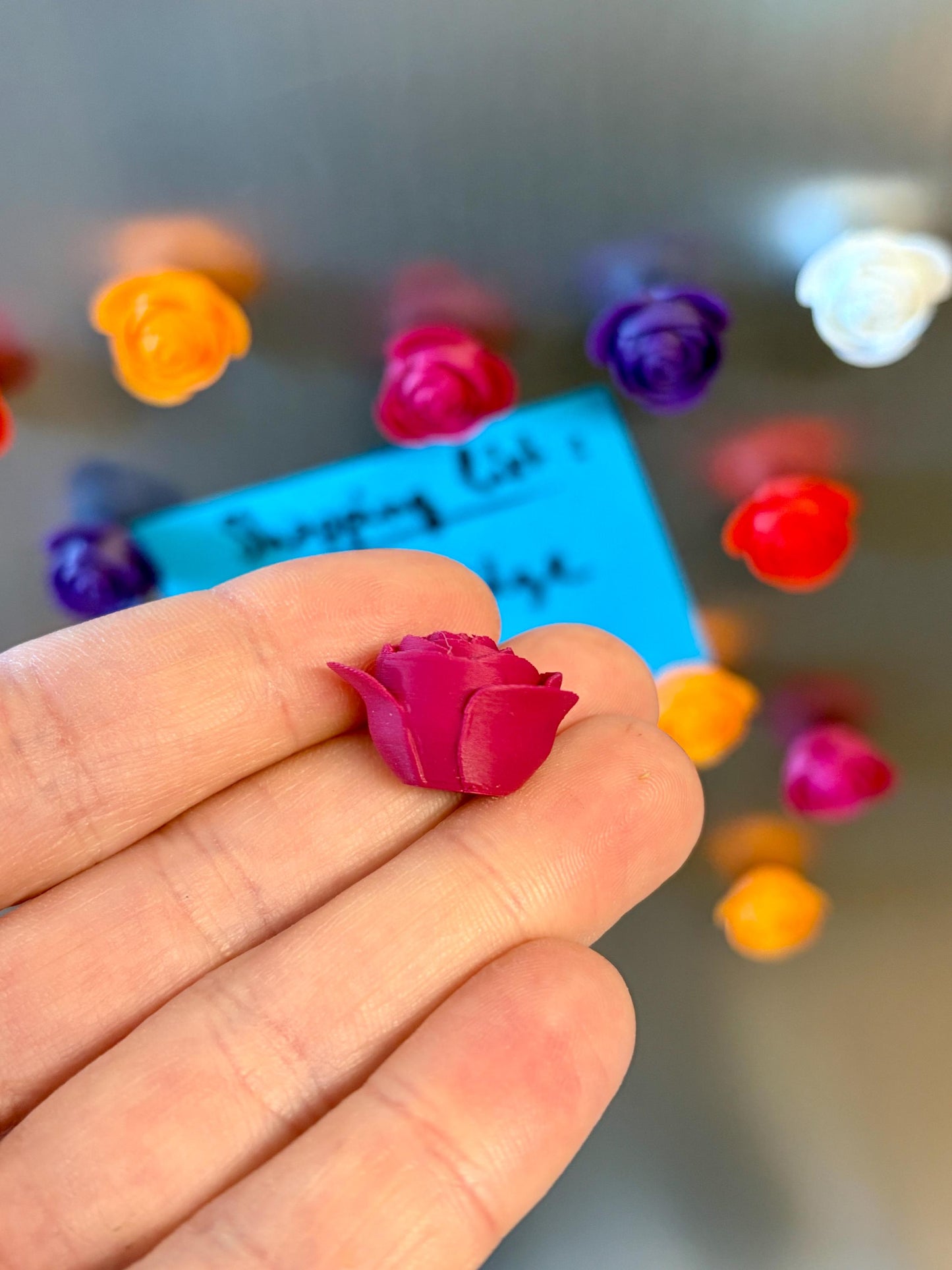 Aimants de réfrigérateur Roses