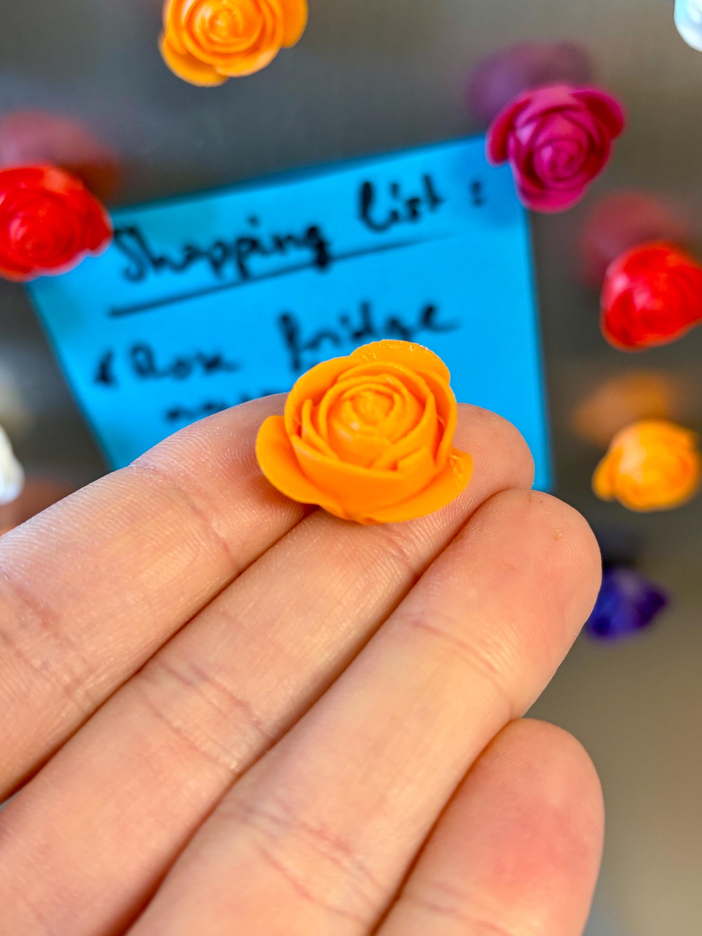Aimants de réfrigérateur Roses
