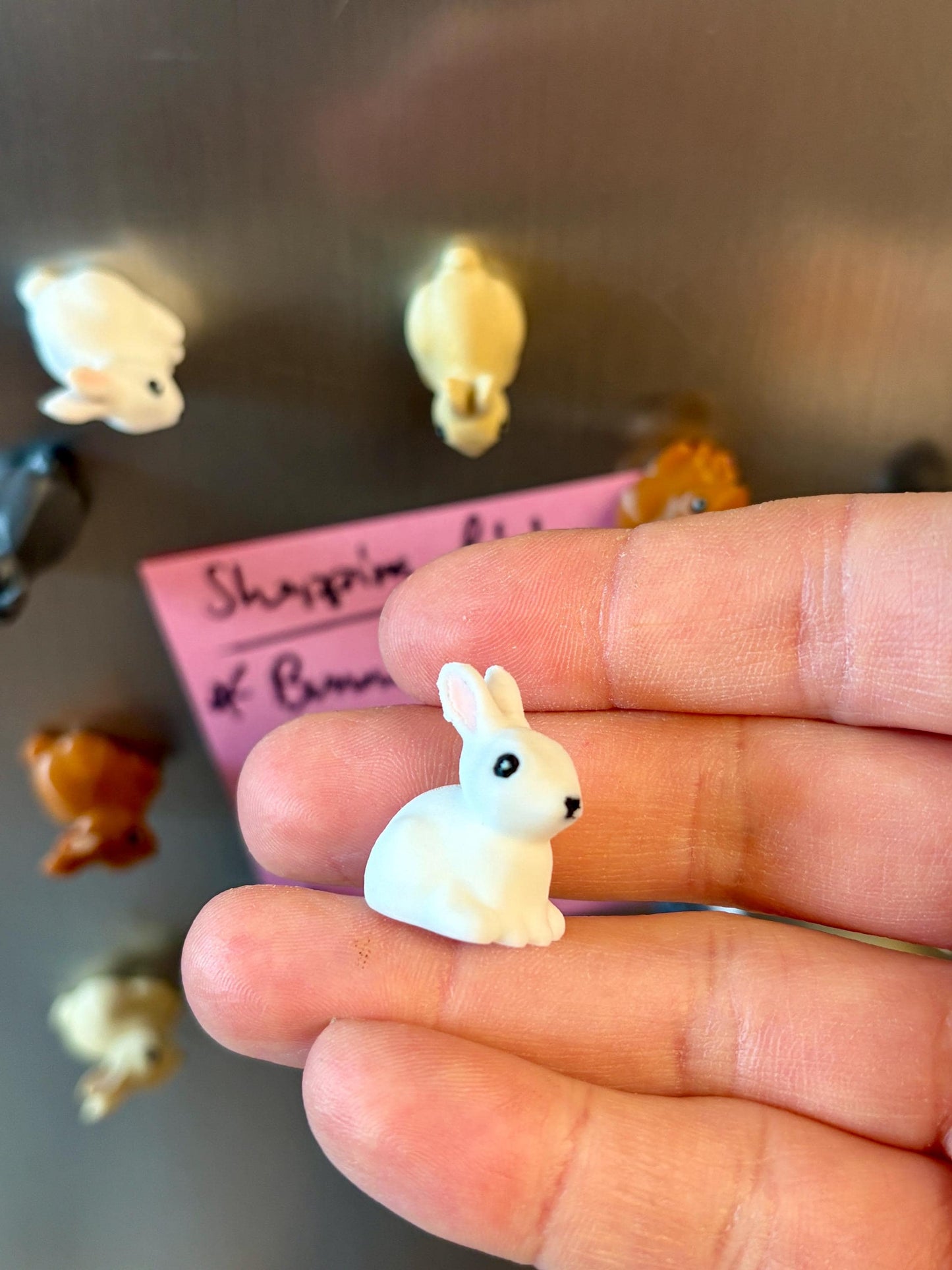Rabbit refrigerator magnets
