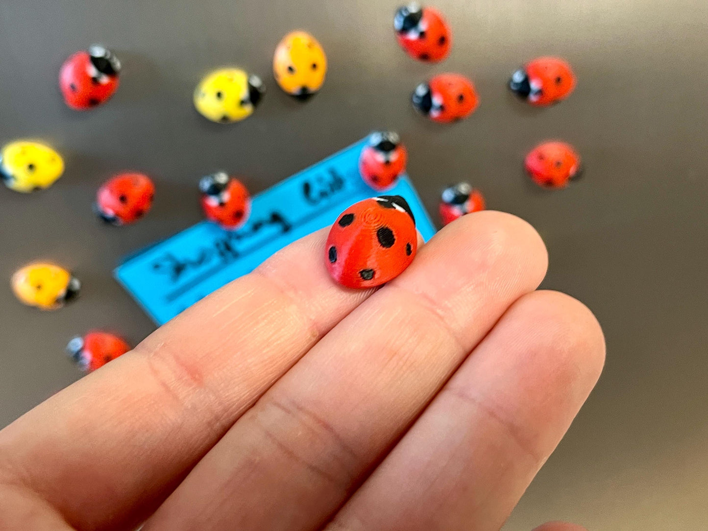 Ladybug Refrigerator Magnets