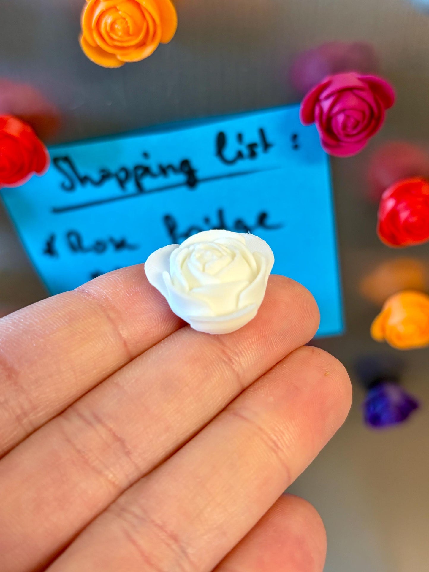 Aimants de réfrigérateur Roses