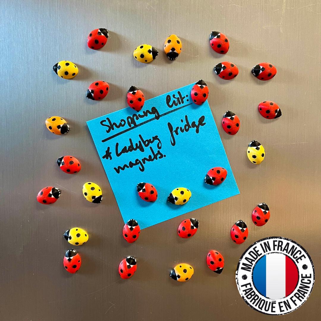 Ladybug Refrigerator Magnets