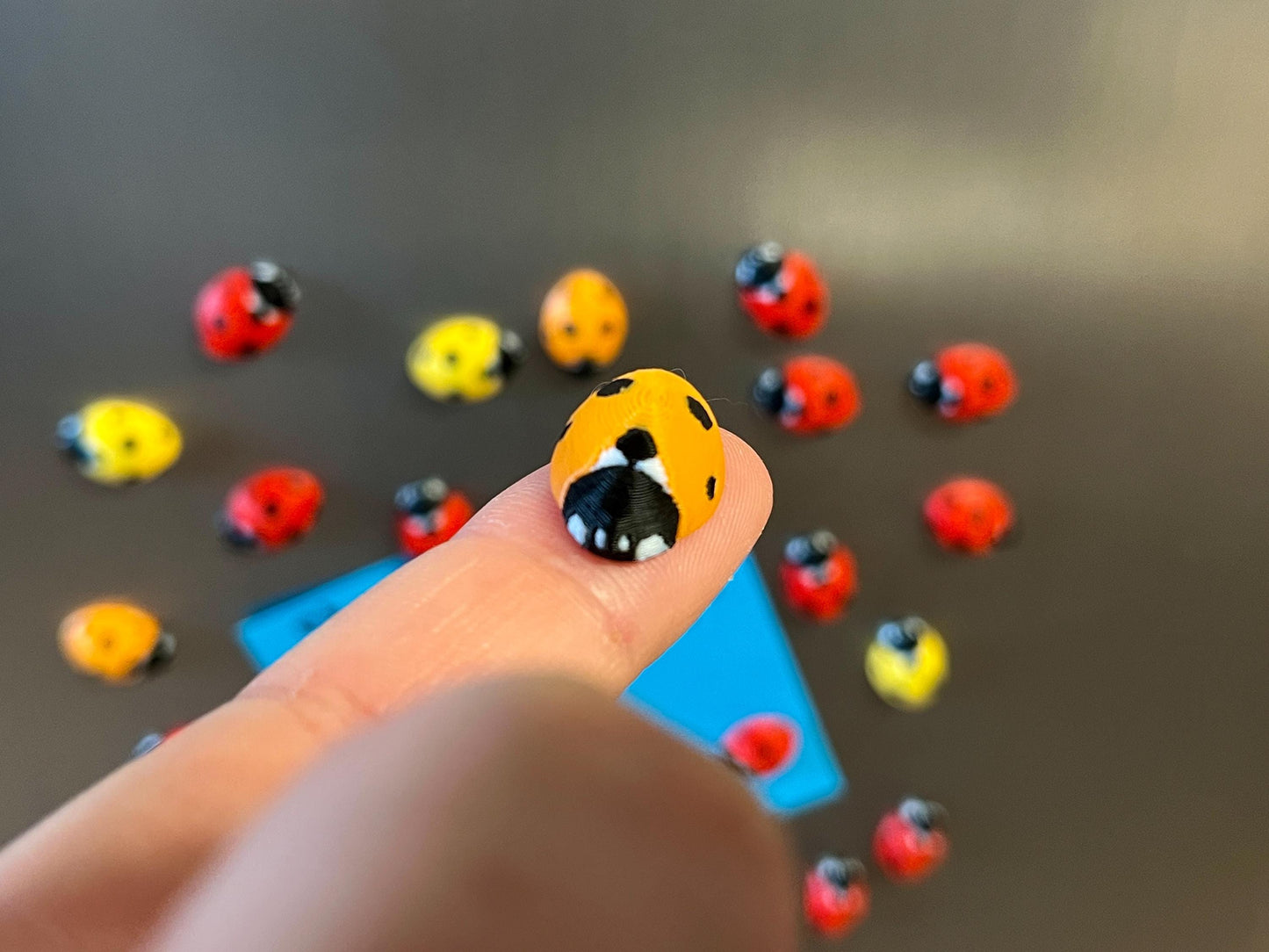 Ladybug Refrigerator Magnets