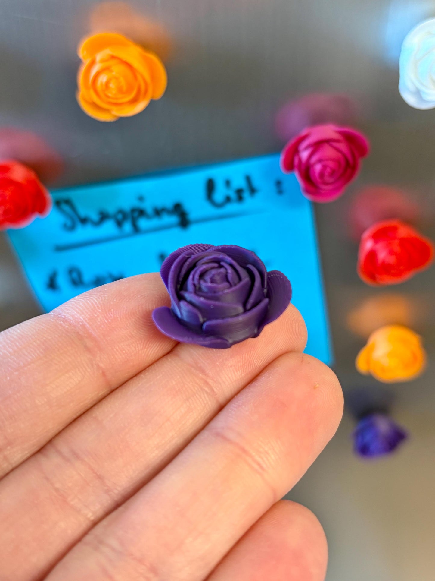 Aimants de réfrigérateur Roses