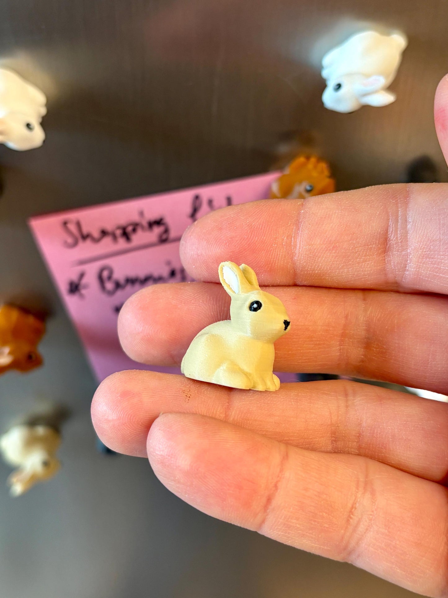 Rabbit refrigerator magnets